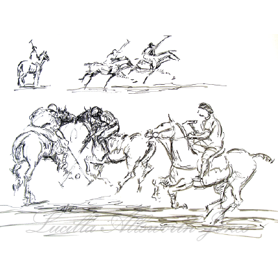 Polo Drawing